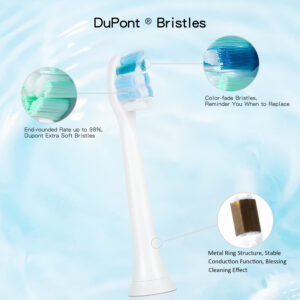 Rechargeable Adult Sonic Electric Toothbrush for Travel and Household Use with OEM Private Labeling, Oral Care Features